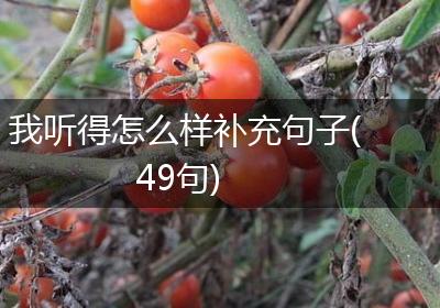 我听得怎么样补充句子(49句)