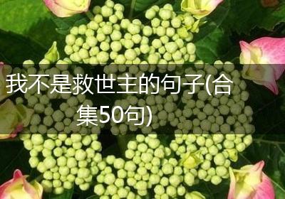 我不是救世主的句子(合集50句)