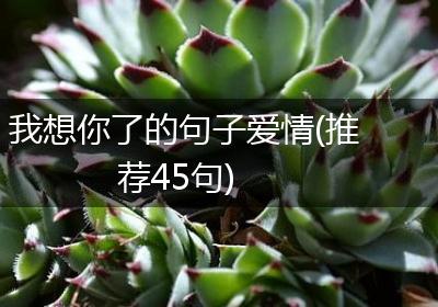 我想你了的句子爱情(推荐45句)
