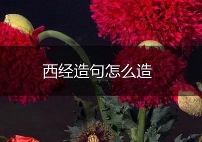 西经造句怎么造