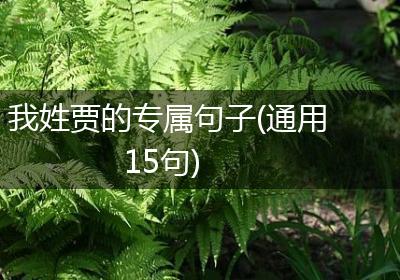 我姓贾的专属句子(通用15句)