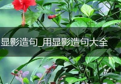 显影造句_用显影造句大全