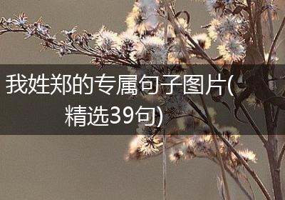 我姓郑的专属句子图片(精选39句)