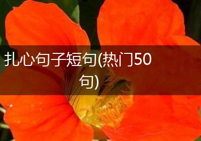 扎心句子短句(热门50句)