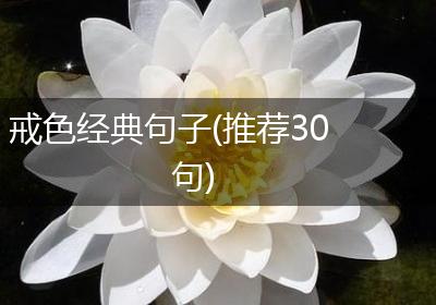 戒色经典句子(推荐30句)