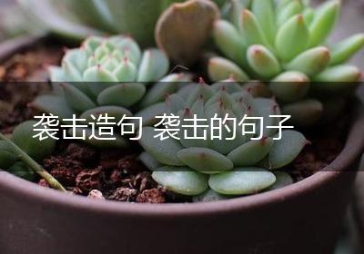 袭击造句 袭击的句子