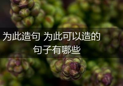 为此造句 为此可以造的句子有哪些