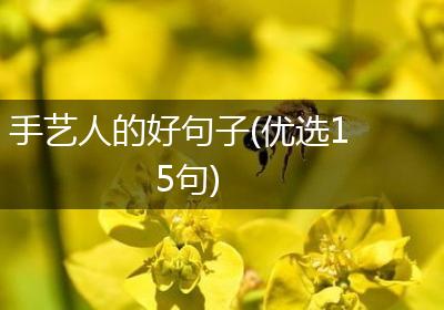 手艺人的好句子(优选15句)