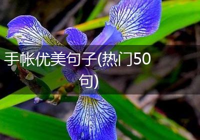 手帐优美句子(热门50句)