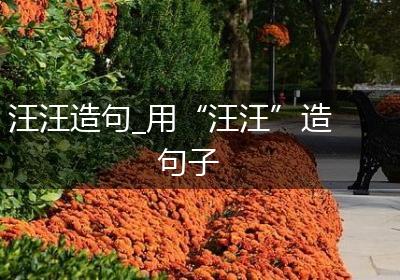 汪汪造句_用“汪汪”造句子