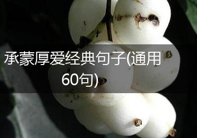承蒙厚爱经典句子(通用60句)