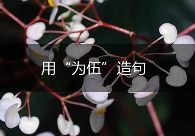 用“为伍”造句
