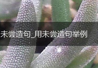 未尝造句_用未尝造句举例