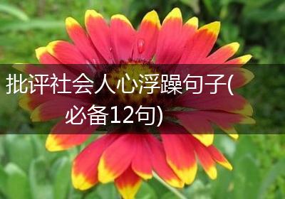 批评社会人心浮躁句子(必备12句)