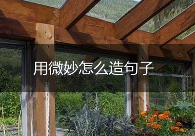 用微妙怎么造句子