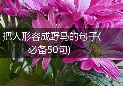 把人形容成野马的句子(必备50句)