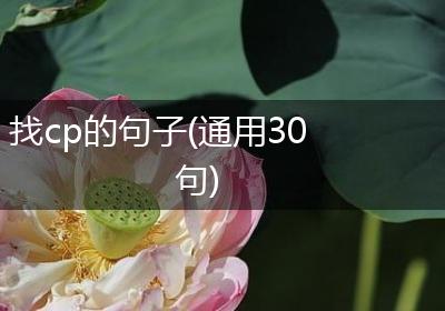 找cp的句子(通用30句)