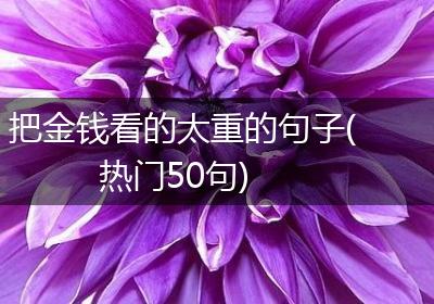 把金钱看的太重的句子(热门50句)