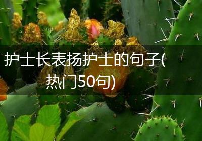 护士长表扬护士的句子(热门50句)