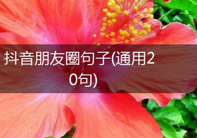 抖音朋友圈句子(通用20句)
