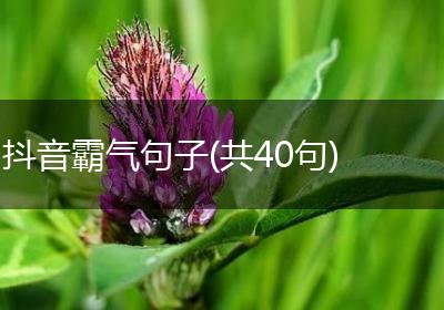 抖音霸气句子(共40句)