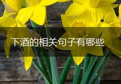 下酒的相关句子有哪些