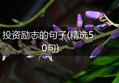 投资励志的句子(精选50句)