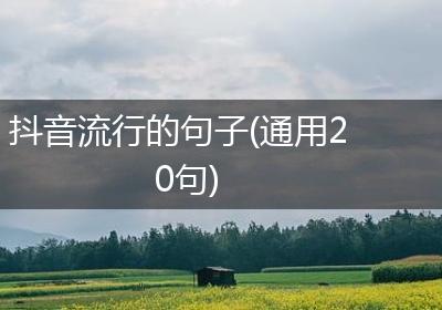 抖音流行的句子(通用20句)