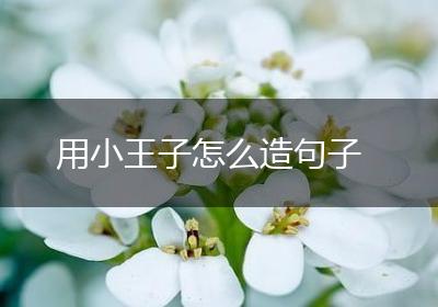 用小王子怎么造句子