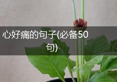 心好痛的句子(必备50句)