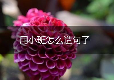 用小班怎么造句子