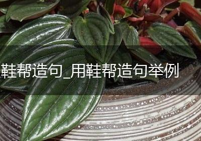 鞋帮造句_用鞋帮造句举例