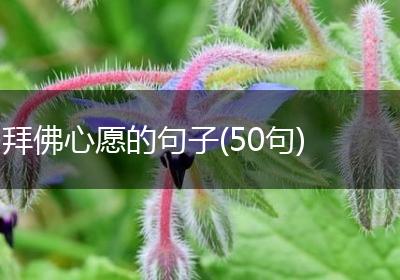 拜佛心愿的句子(50句)