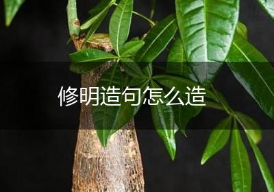 修明造句怎么造