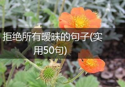 拒绝所有暧昧的句子(实用50句)