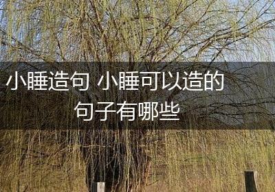 小睡造句 小睡可以造的句子有哪些