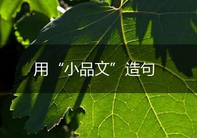 用“小品文”造句