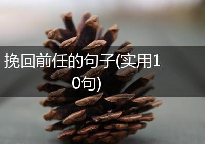 挽回前任的句子(实用10句)