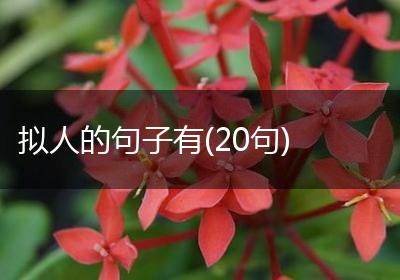 拟人的句子有(20句)