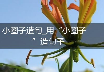 小圈子造句_用“小圈子”造句子