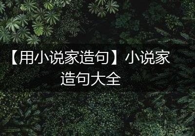 【用小说家造句】小说家造句大全