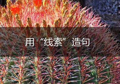 用“线索”造句