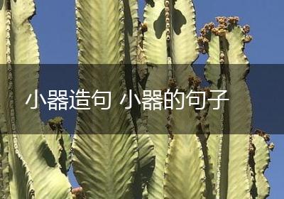 小器造句 小器的句子