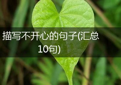描写不开心的句子(汇总10句)