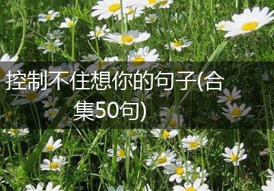 控制不住想你的句子(合集50句)