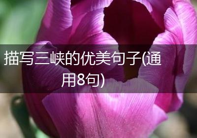 描写三峡的优美句子(通用8句)
