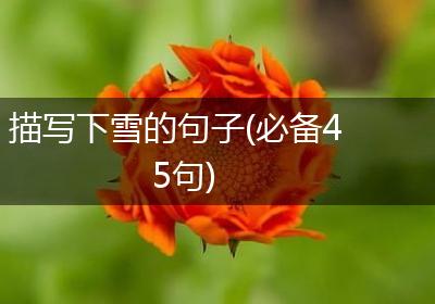 描写下雪的句子(必备45句)