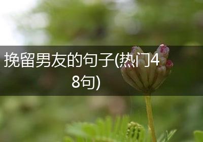 挽留男友的句子(热门48句)