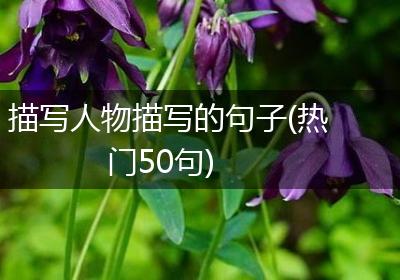 描写人物描写的句子(热门50句)