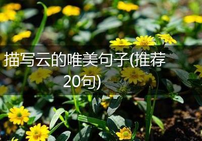 描写云的唯美句子(推荐20句)